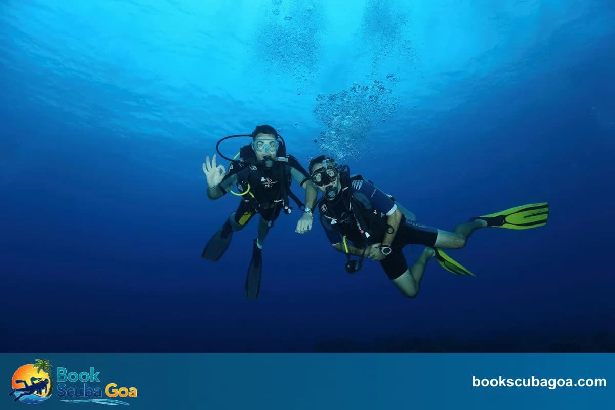 Affordable Scuba Diving Packages in Goa