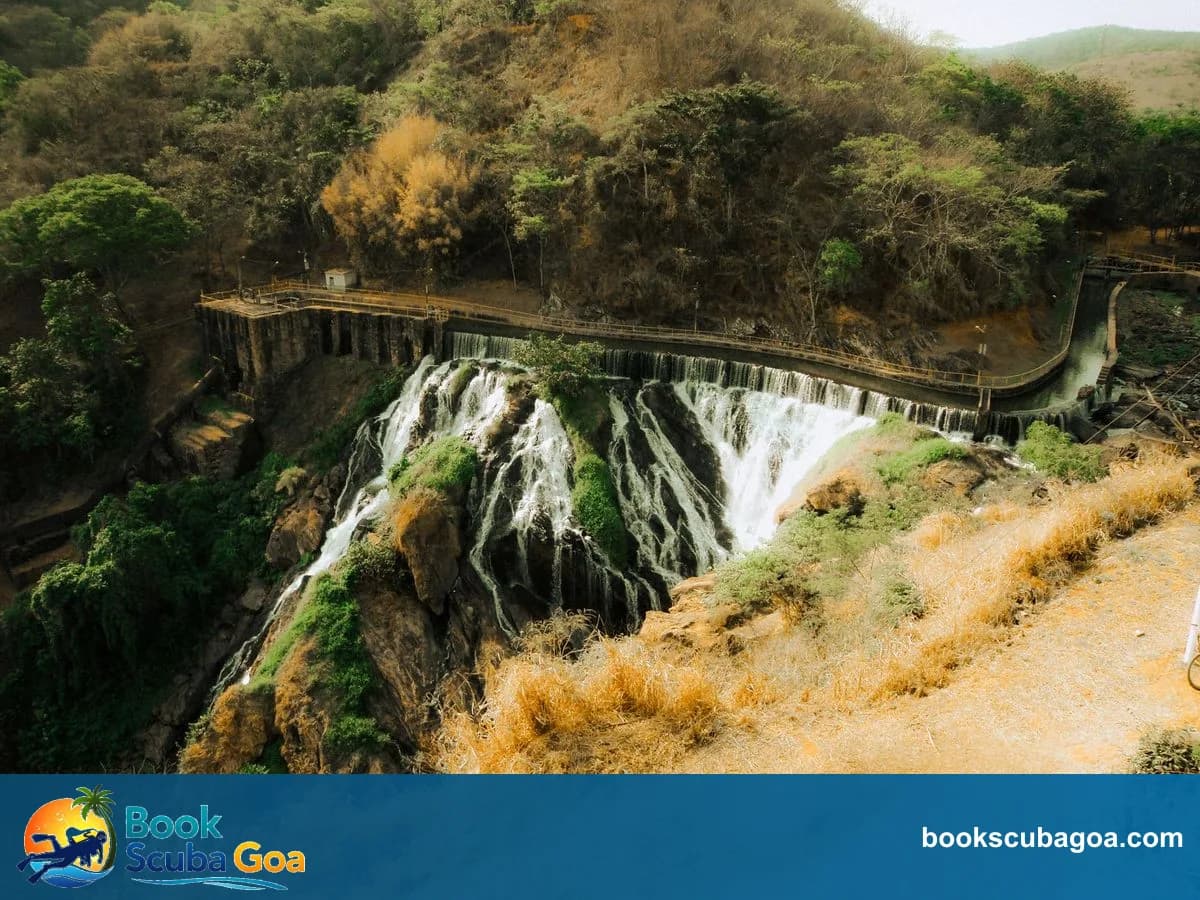 How to Book Dudhsagar Waterfall Trip in Goa Without Overpaying — Local Tips