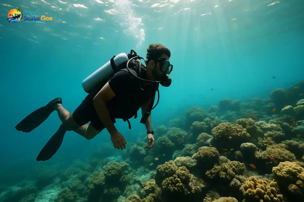 A Complete Guide to Scuba Diving in Goa