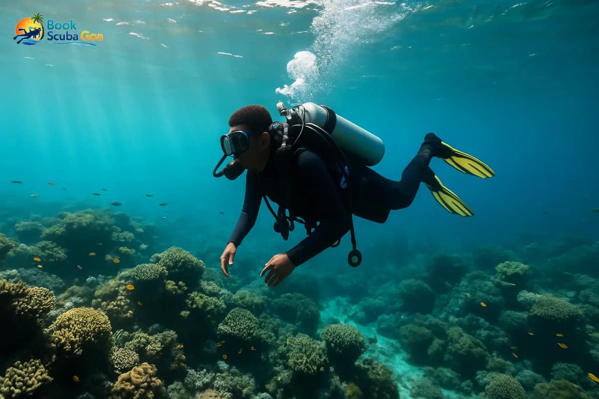 Family-Friendly Activities in Goa