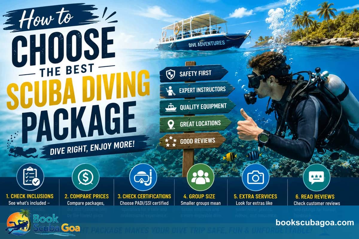 How to Choose the Best Scuba Diving Package