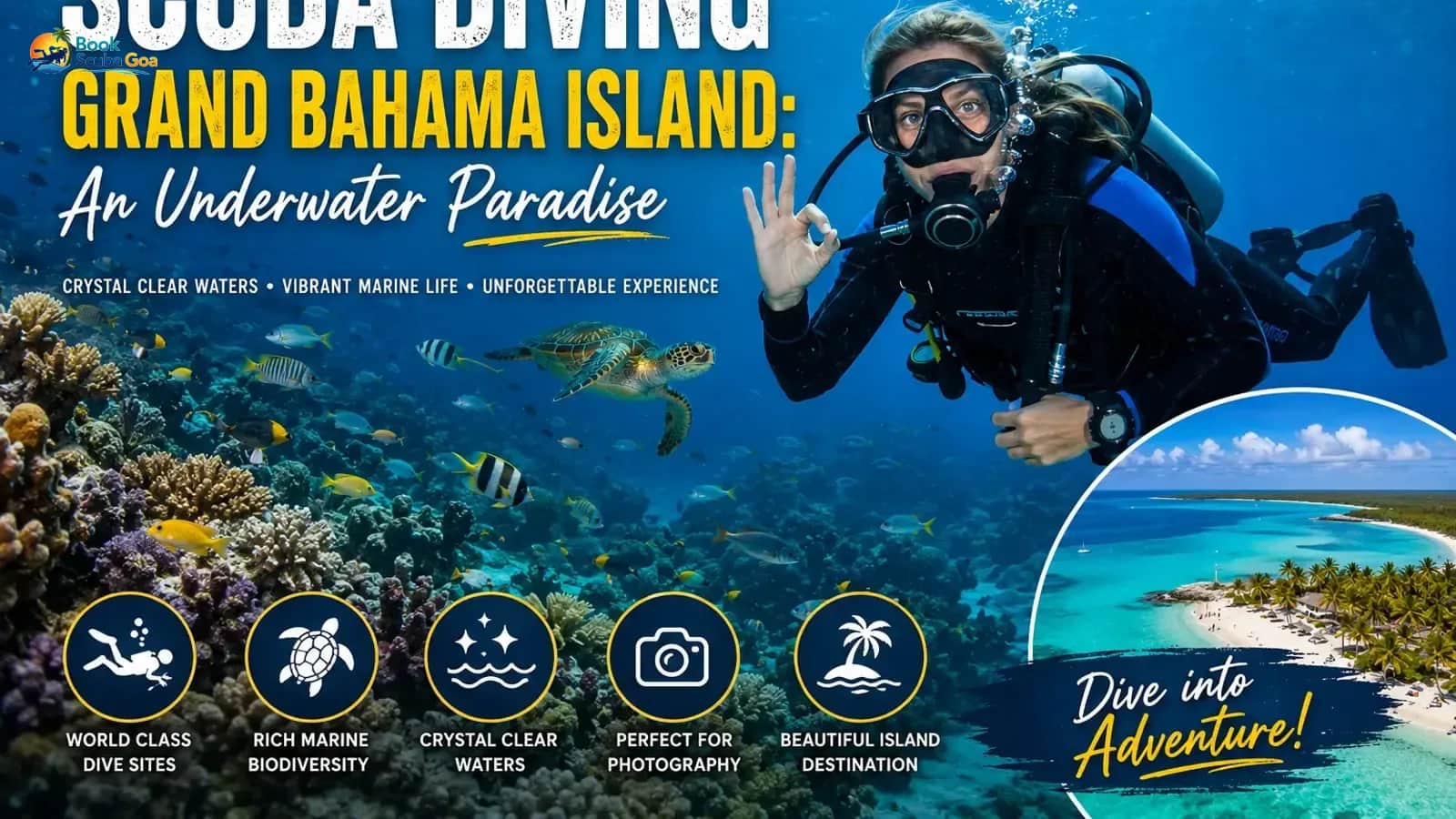 Scuba Diving Grand Bahama Island: An Underwater Paradise