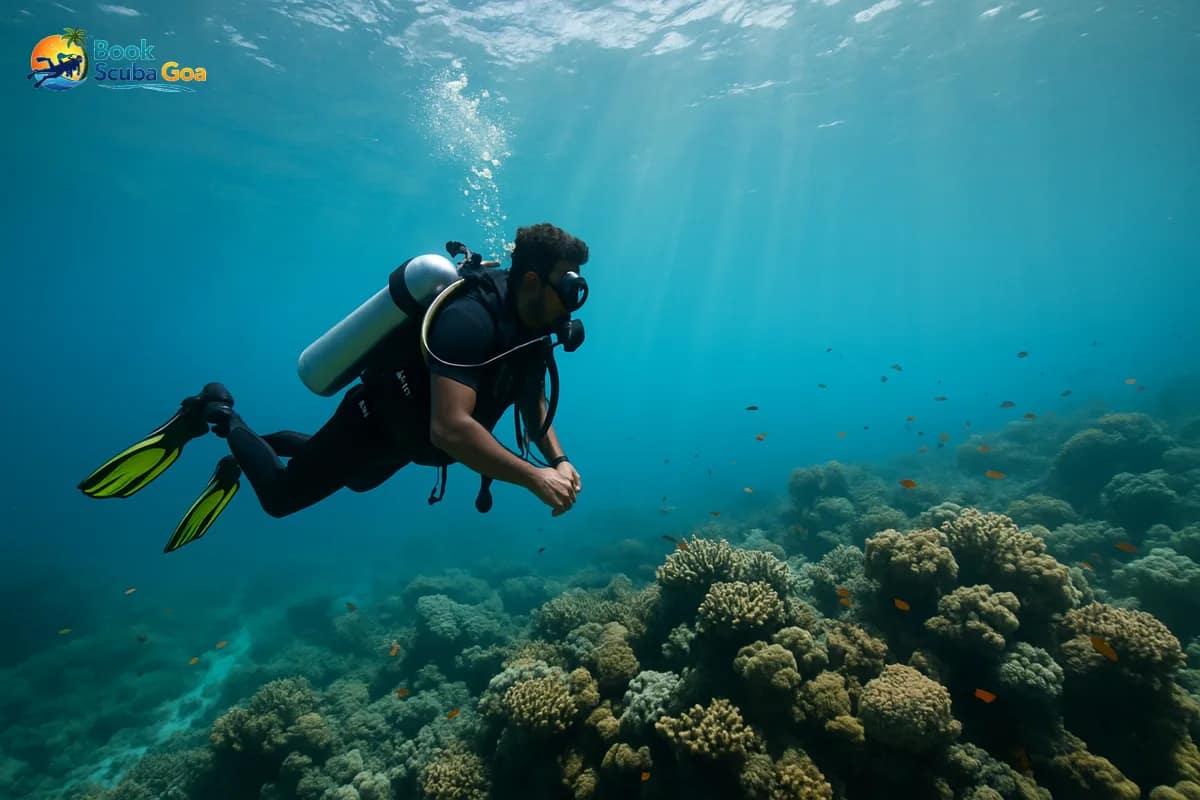 Scuba diving in Goa — scuba diving safety tips Vagator — Book Scuba Goa