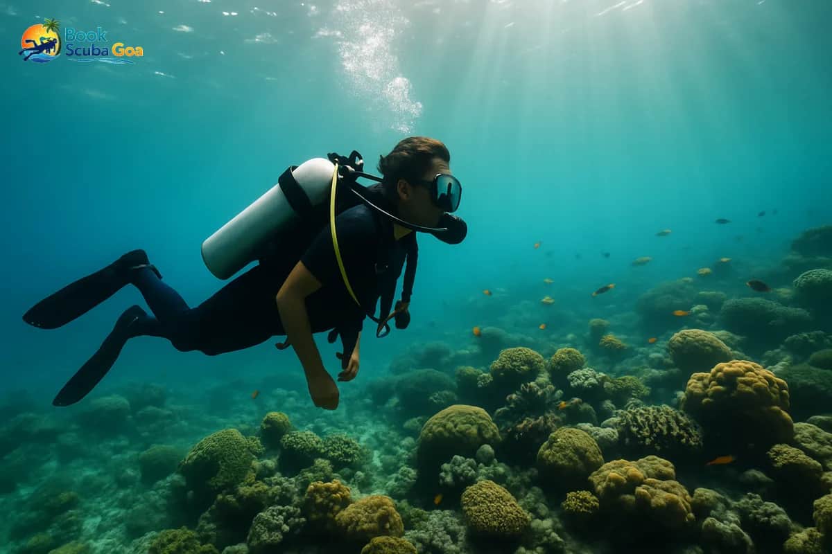 Top 10 Water Sports to Try in Goa