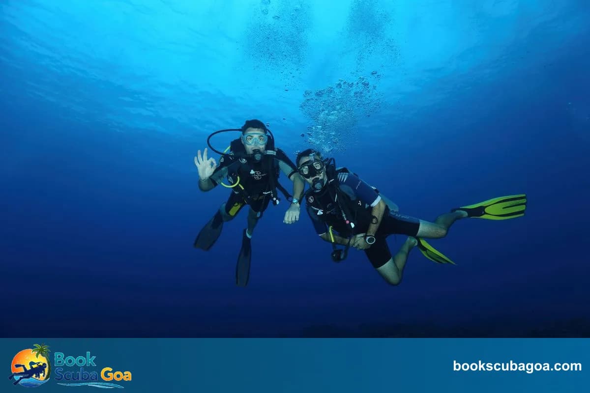 Top 5 Scuba Diving Spots in Goa