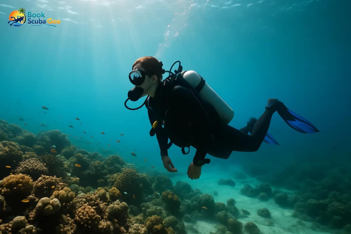What to Expect During Your First Scuba Dive